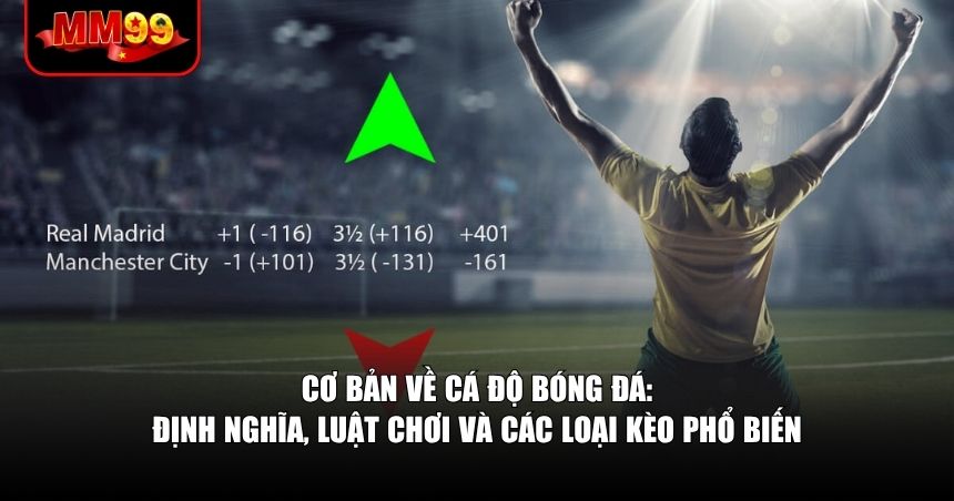 Cơ bản về cá độ bóng đá