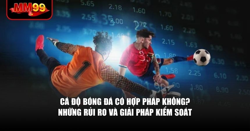 Tính hợp pháp của cá độ bóng đá và những rủi ro tiềm ẩn về tài chính lẫn tâm lý